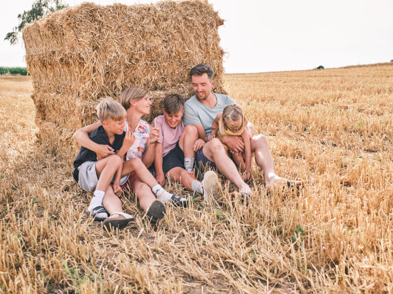 Biohof Staller im Feld